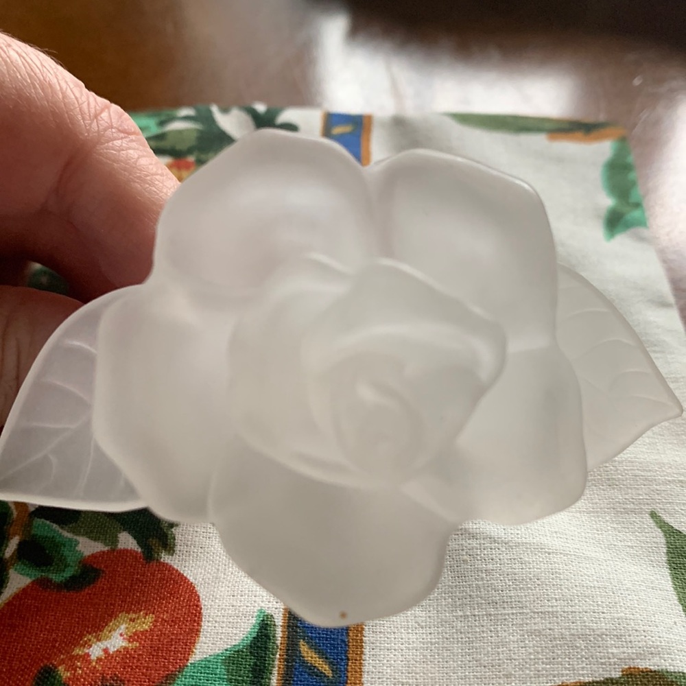 Napkin Rings FROSTED rose (set of 10)